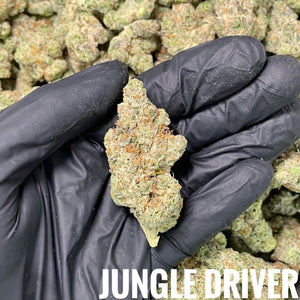 👍1.31 Jungle Driver