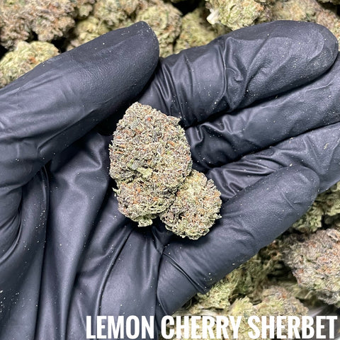💙38.5 Lemon Cherry Sherbet