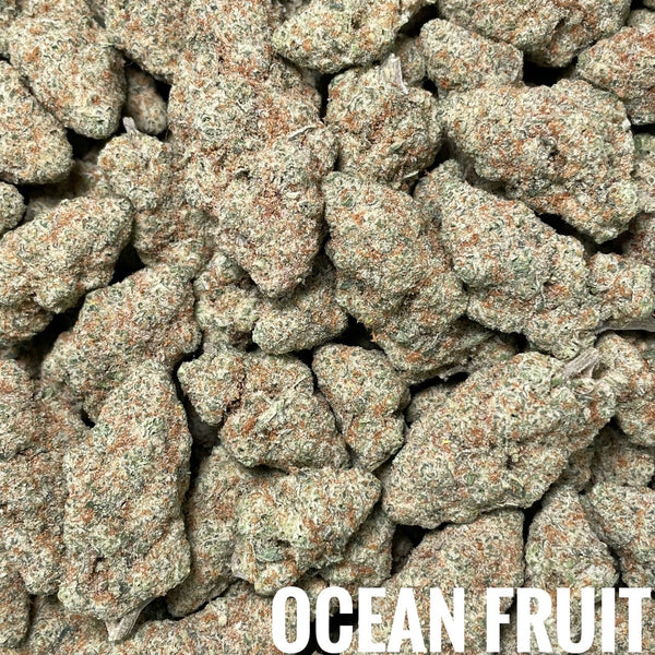 🆕16.5 Ocean Fruit