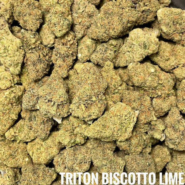👍40.1 Triton Biscotto Lime